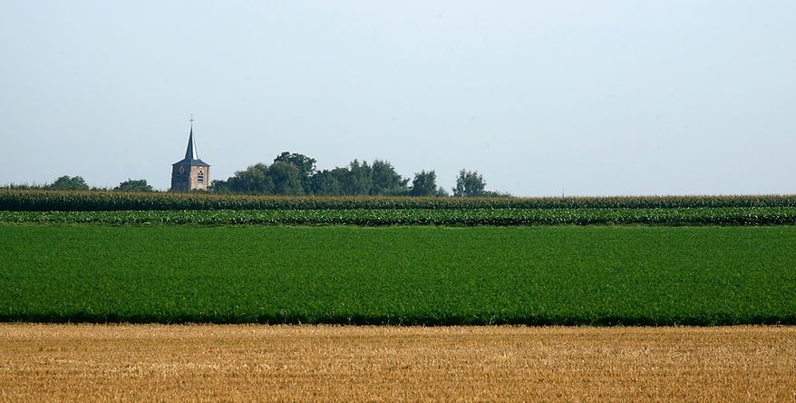 Pepingen, verankerd tussen de velden